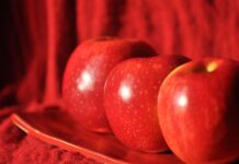 Ile za talerzyk 2024?