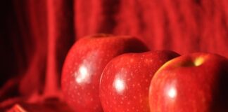 Ile za talerzyk 2024?