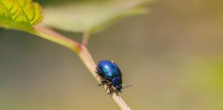 Czy kolor miętowy jest modny 2023?