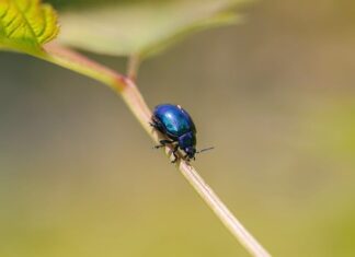 Czy kolor miętowy jest modny 2023? Czy kolor miętowy jest modny 2023?