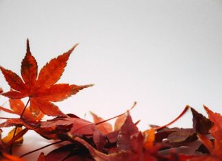 Jak się wiąże włosy? Jak się wiąże włosy?