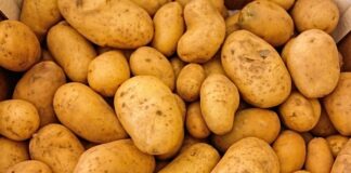 Czy ziemniaki zawierają nikiel?