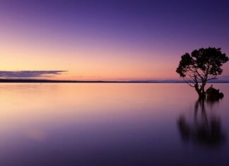 Ile trzeba pić wody dziennie aby schudnąć?