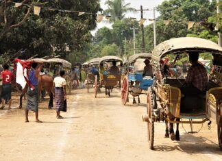 Ile kosztuje wizyta u brafitterki?