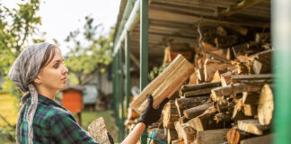 Wybór odpowiedniego miejsca na przechowywanie drewna w ogrodzie